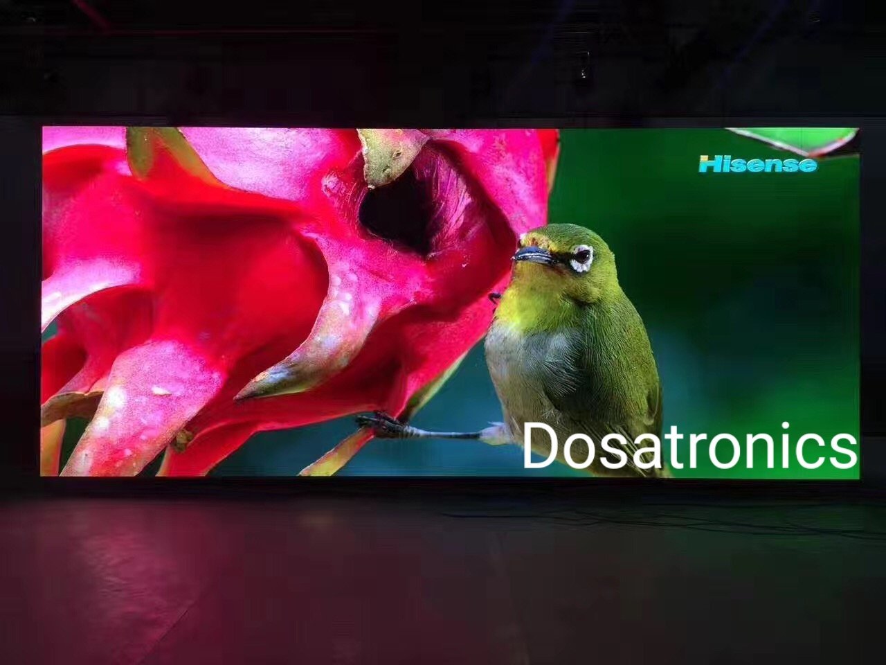 HD LED Screen